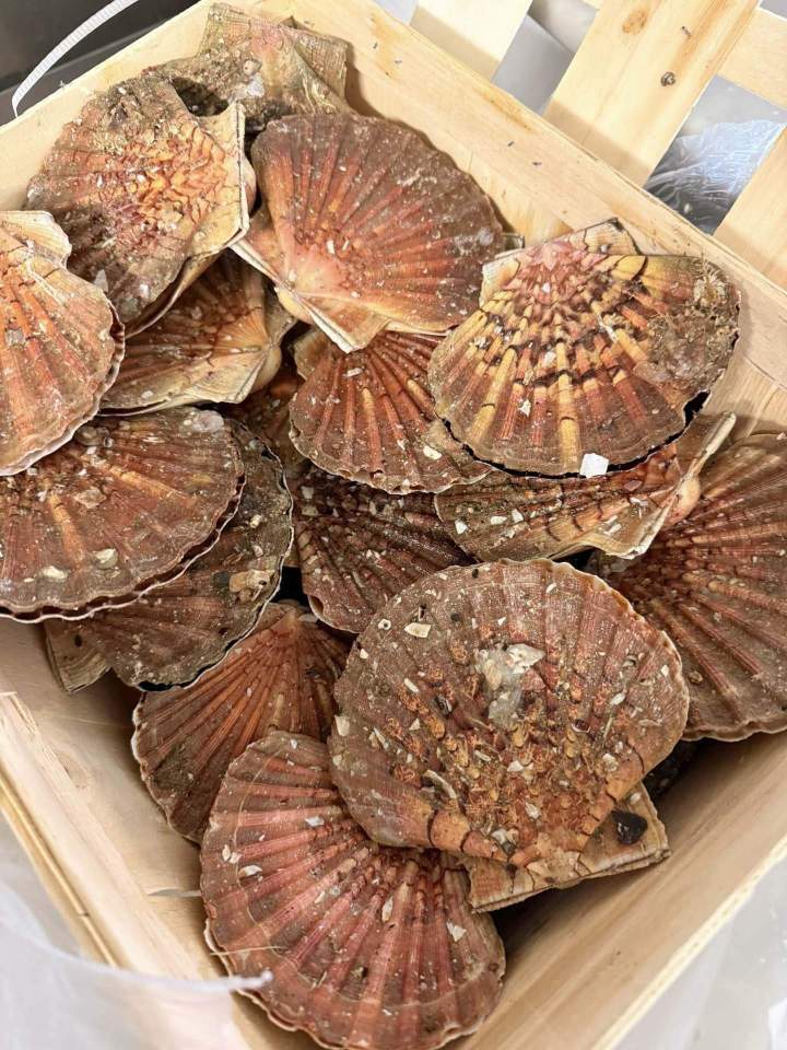 Cuisine italienne traditionnelle Gardanne